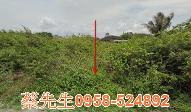 將軍建地法拍-8