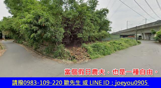 大社農地法拍-2