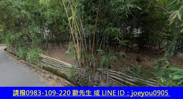 大社農地法拍-3