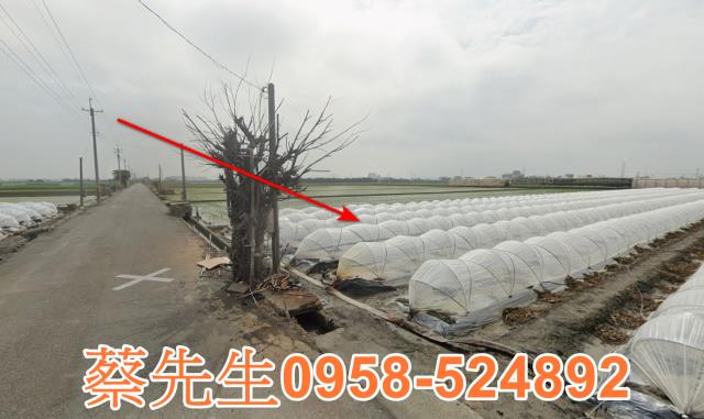 彰化竹塘農地拍賣-9