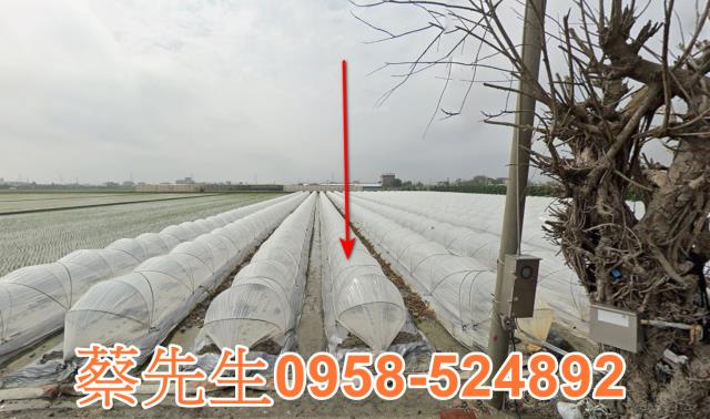 彰化竹塘農地拍賣-4