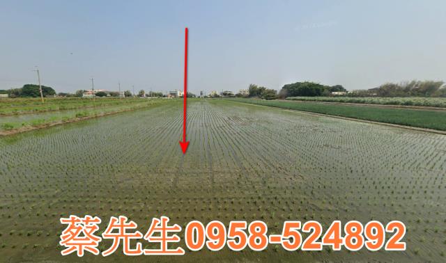 二林法拍農地-0