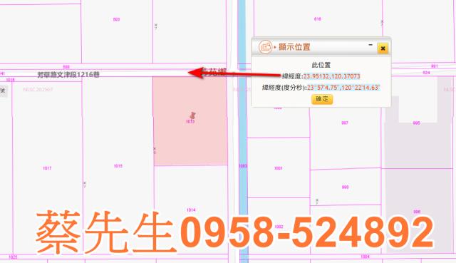 芳苑農地法拍-9