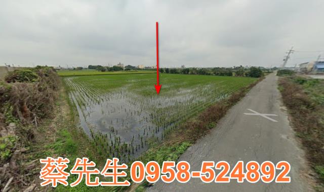 芳苑農地法拍-12