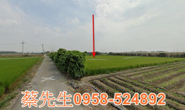 芳苑農地法拍-14