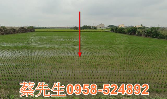 芳苑農地法拍-3