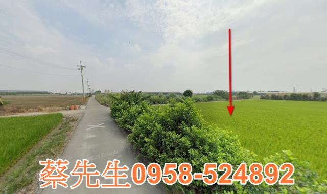 芳苑農地法拍-5