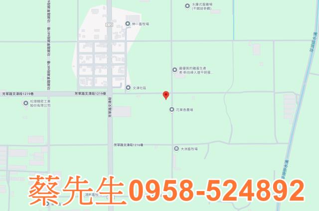 芳苑農地法拍-7