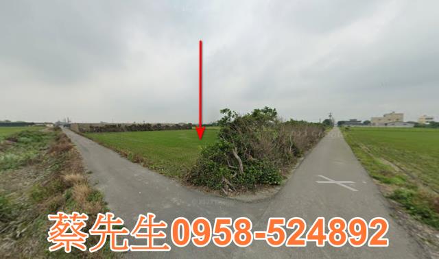 芳苑農地法拍-8