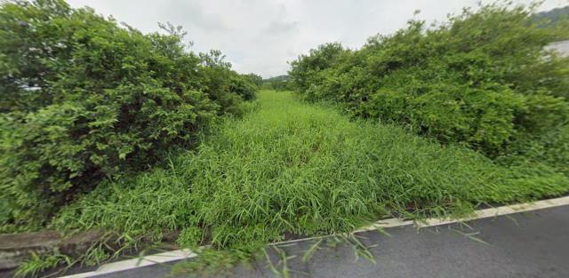 銅鑼法拍農地-0