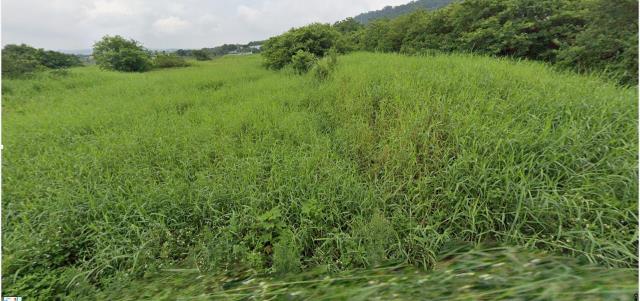 銅鑼農地法拍-8