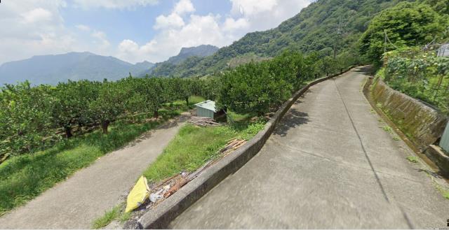 泰安農地法拍-11