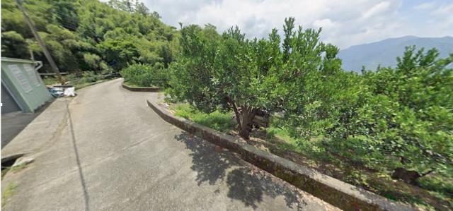 泰安農地法拍-4