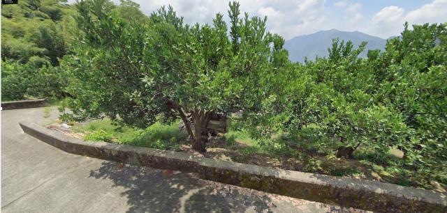 泰安農地法拍-8