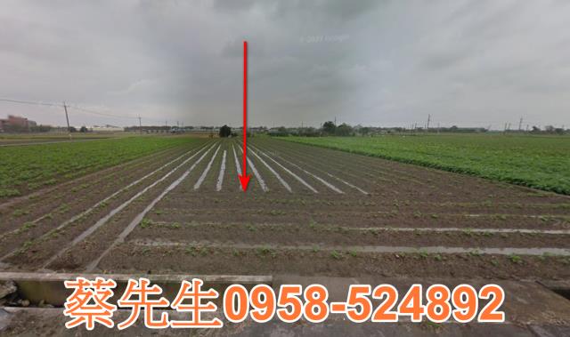 斗南農地法拍-8