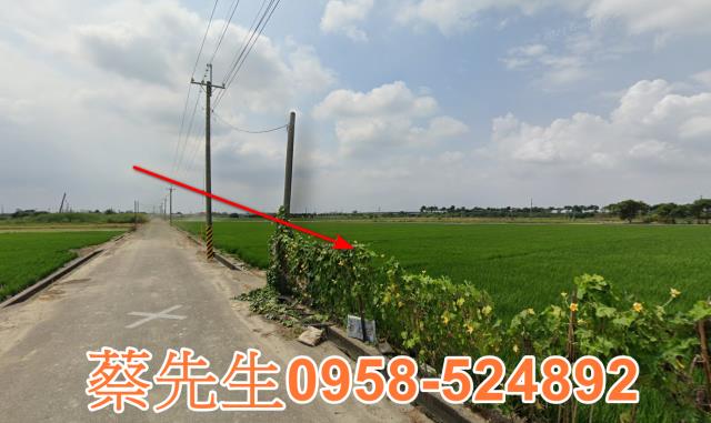 斗南拍賣農地-11