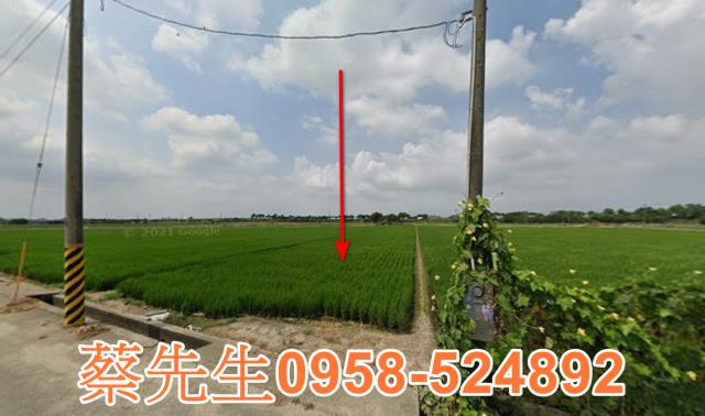 斗南拍賣農地-8
