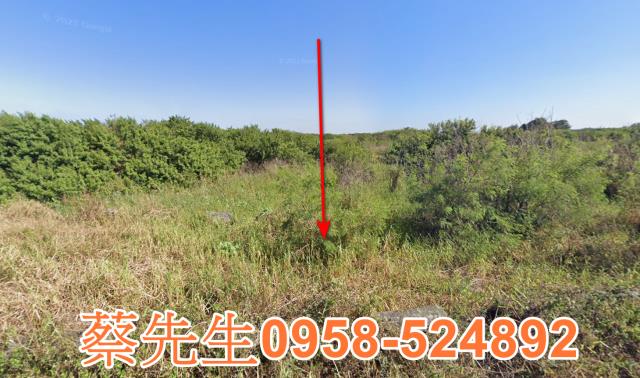 雲林法拍農地-8