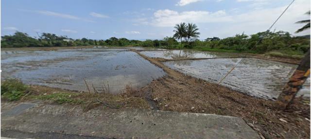 台東農地法拍-7