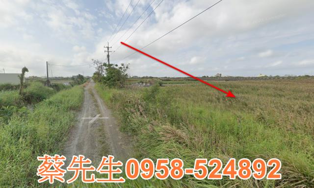 雲林水林法拍農地-5