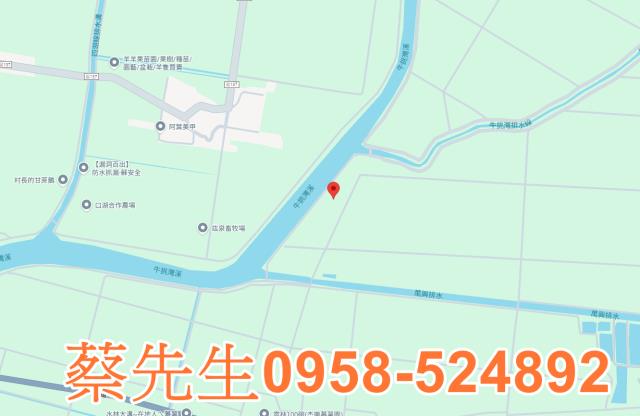 雲林水林法拍農地-7