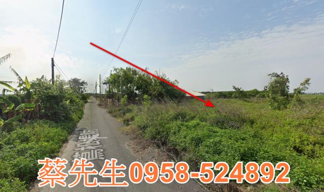 雲林水林法拍農地-11