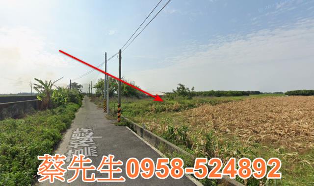 雲林水林法拍農地-4