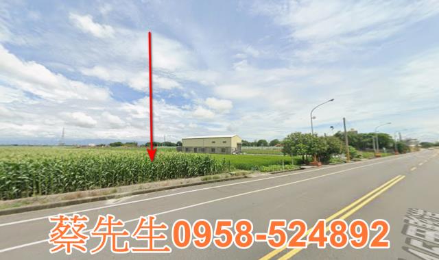 雲林元長法拍農地-3