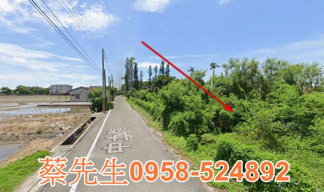 雲林元長法拍農地-11