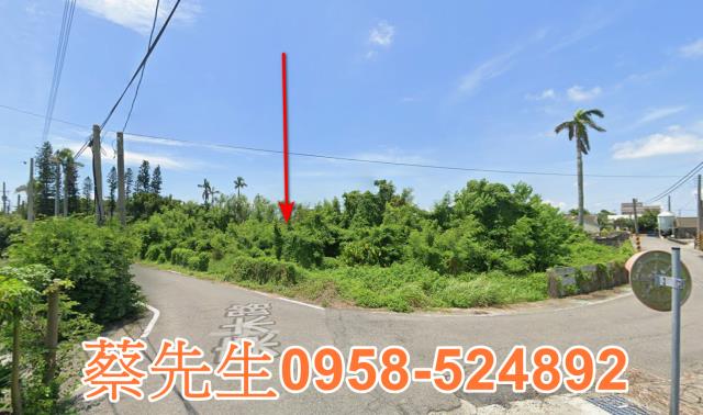 雲林元長法拍農地-12