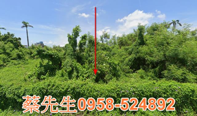 雲林元長法拍農地-0