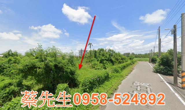 雲林元長法拍農地-5