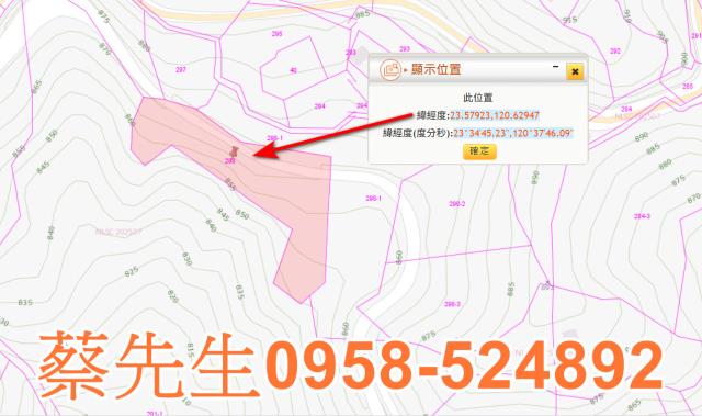 嘉義農地法拍-9