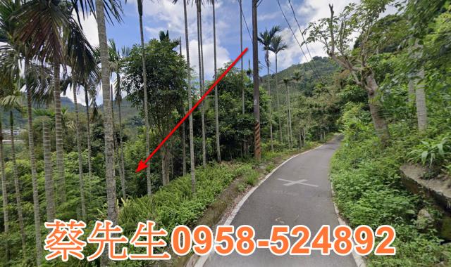 嘉義農地法拍-11