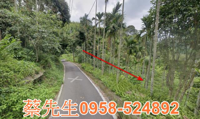 嘉義農地法拍-13