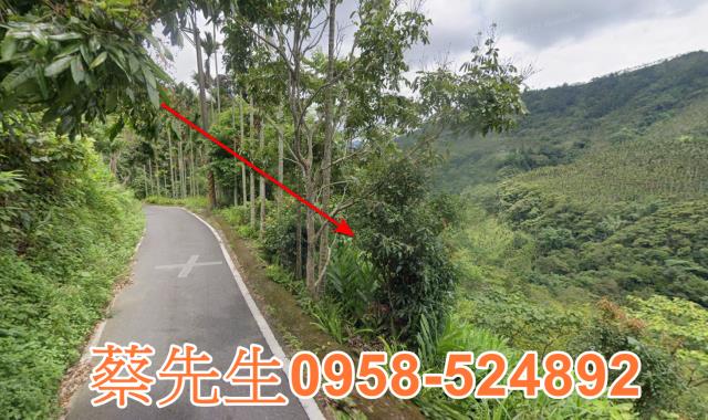 嘉義農地法拍-14