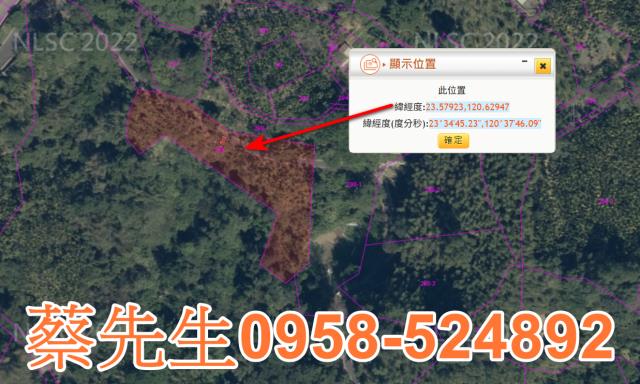 嘉義農地法拍-2