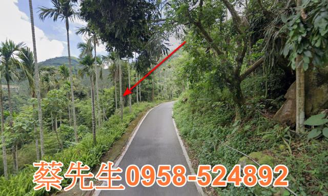 嘉義農地法拍-4