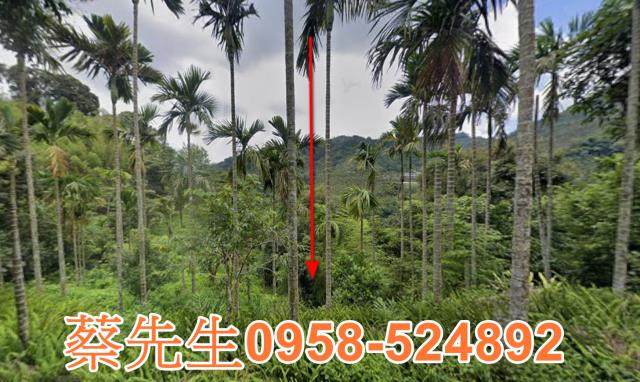 嘉義農地法拍-8