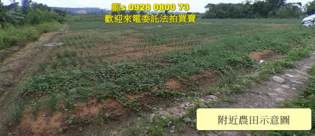 桃園法拍農地-0