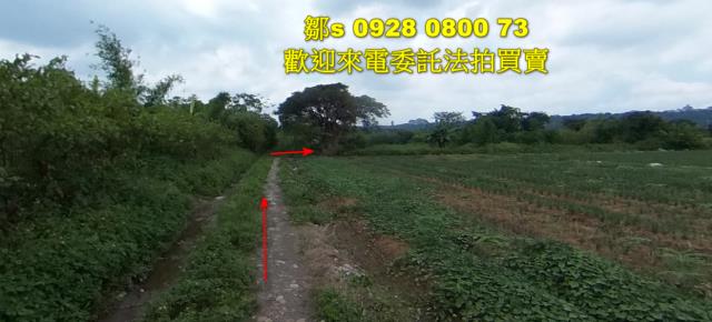 桃園法拍農地-1