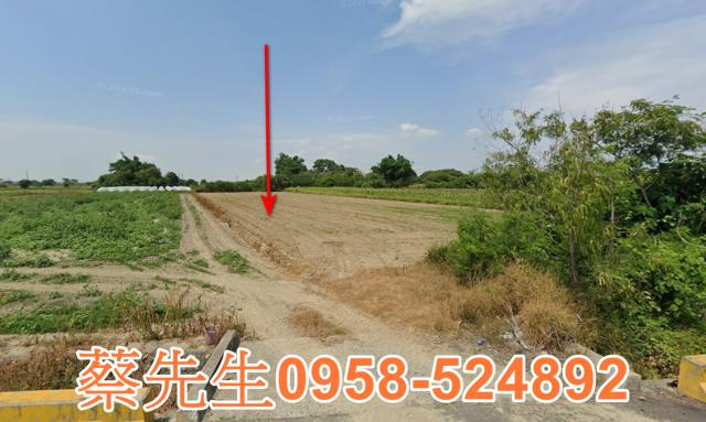 嘉義法拍農地-0