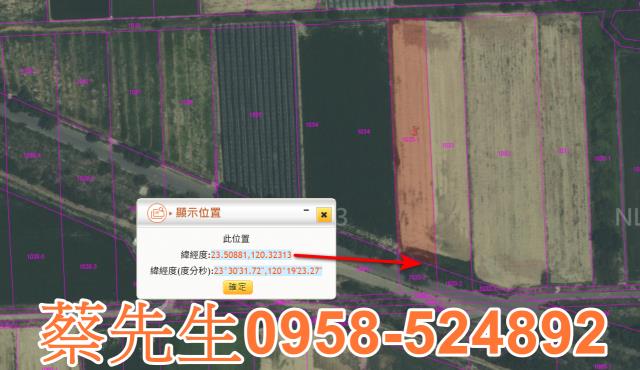 嘉義法拍農地-2