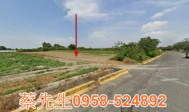 嘉義法拍農地-3