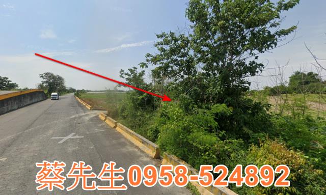 嘉義法拍農地-5