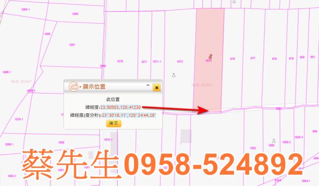 嘉義農地法拍-1