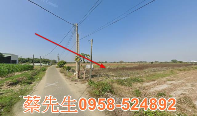 嘉義農地法拍-4