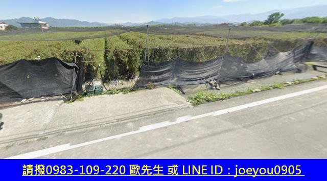 高雄美濃農地拍賣-3