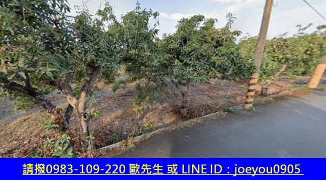 屏東長治農地法拍-9