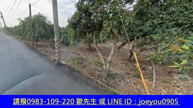 屏東長治農地法拍-11